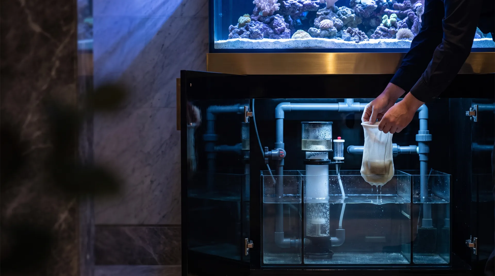 Under a lit saltwater display in a dim marble lobby, the cabinet stands open; a service aquarist’s hands lift a used filter sock out of the glass sump beside the protein skimmer.